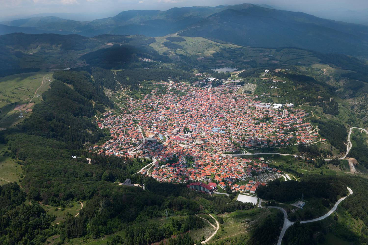 Torrez Market